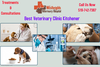 Affordable And Best Veterinary Clinic Kitchener West Heights Vet Image